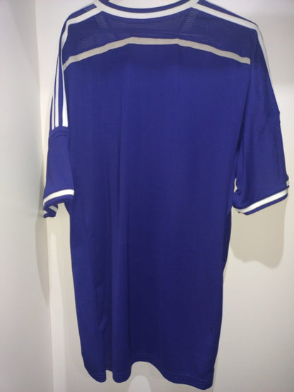 Anderlecht Belgium 2014/2015 Shirt