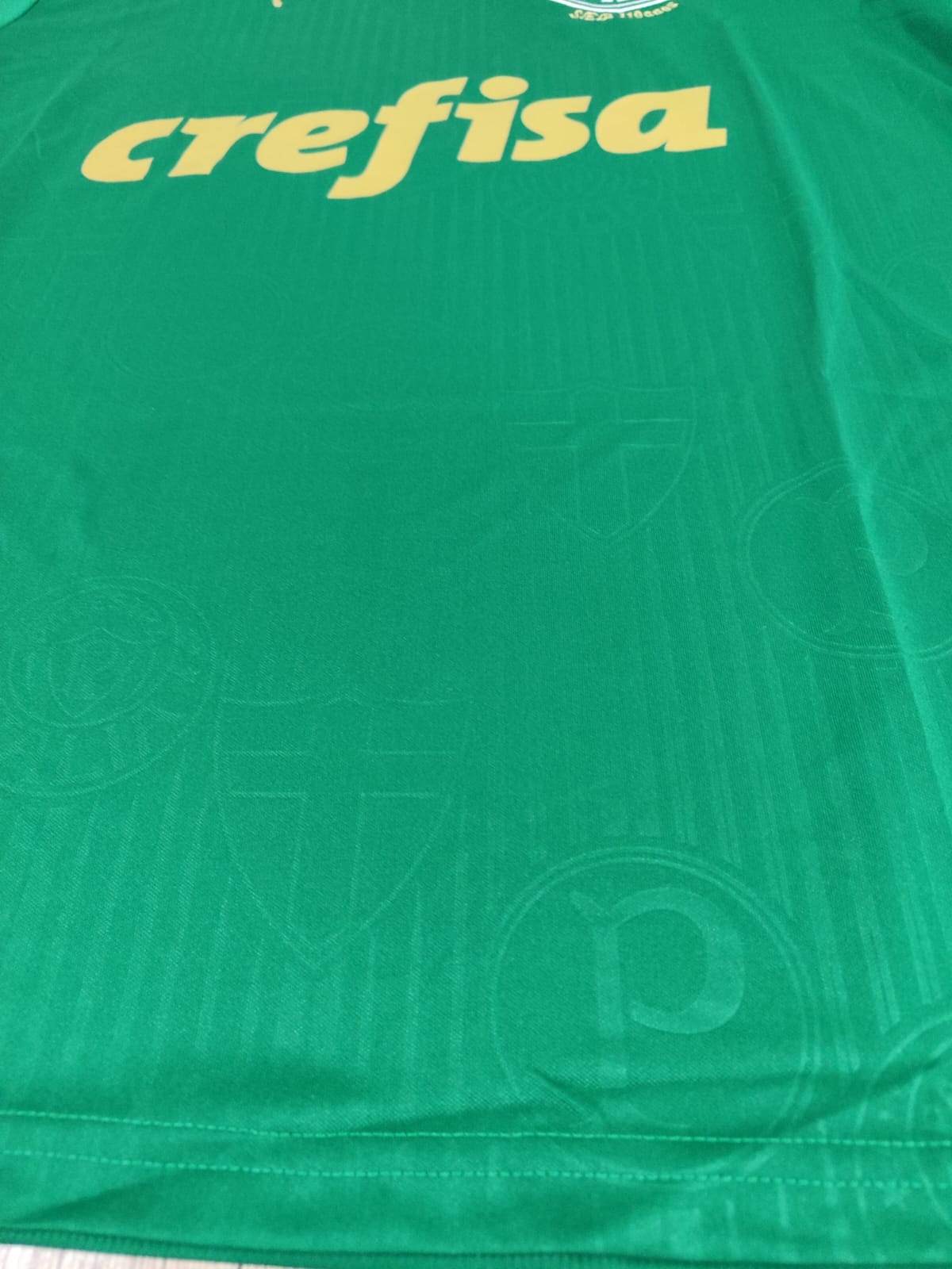 Palmeiras 1 HOME Fan Shirt 24/25 - Various sizes