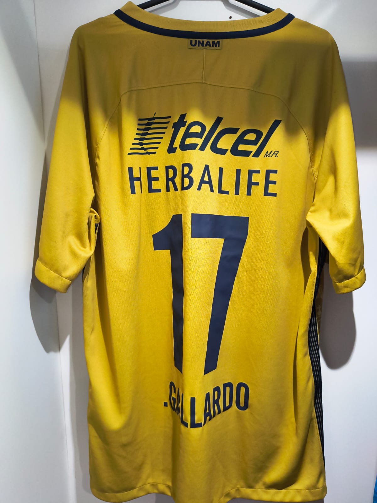 Nike Pumas 2016/17 Home Shirt