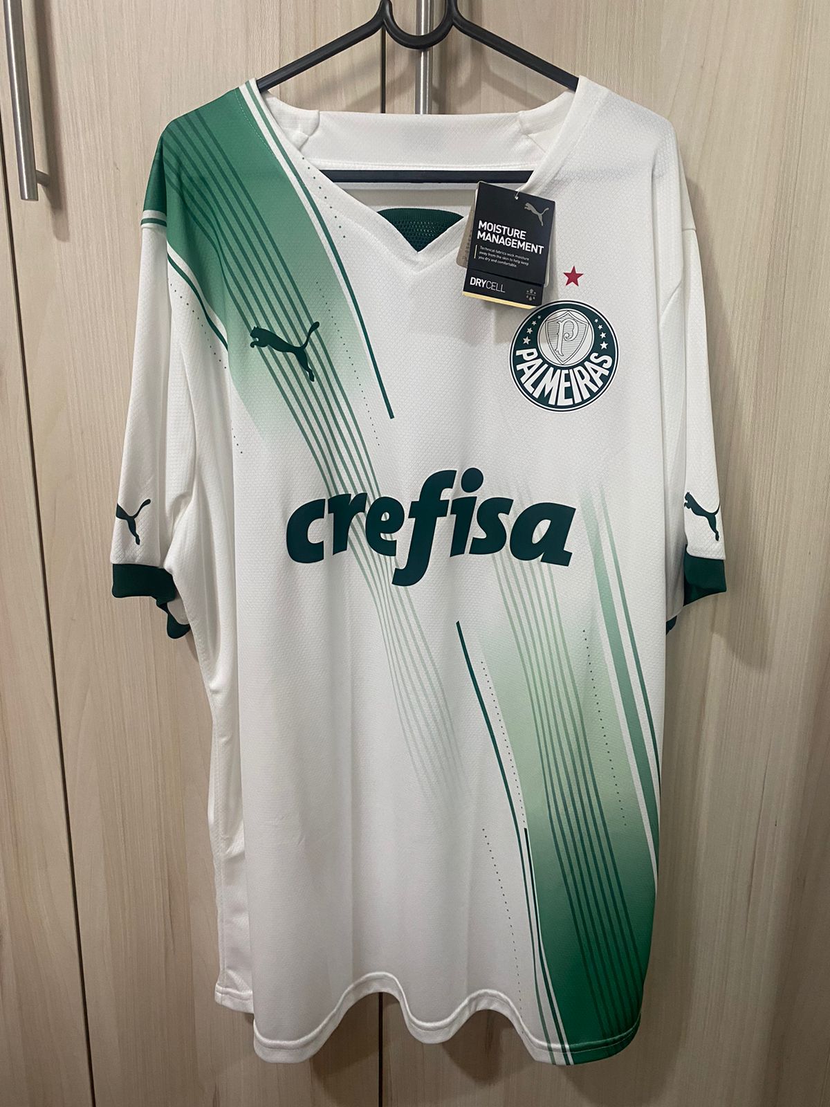 Palmeiras Home Shirt 2023 - Size XXL (62x79 cm)