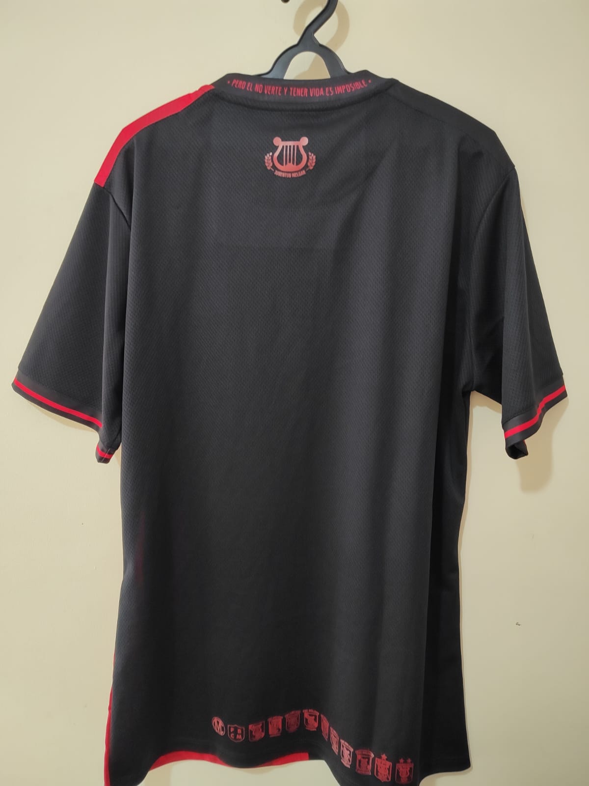 Camisa Melgar Arequipa 2024