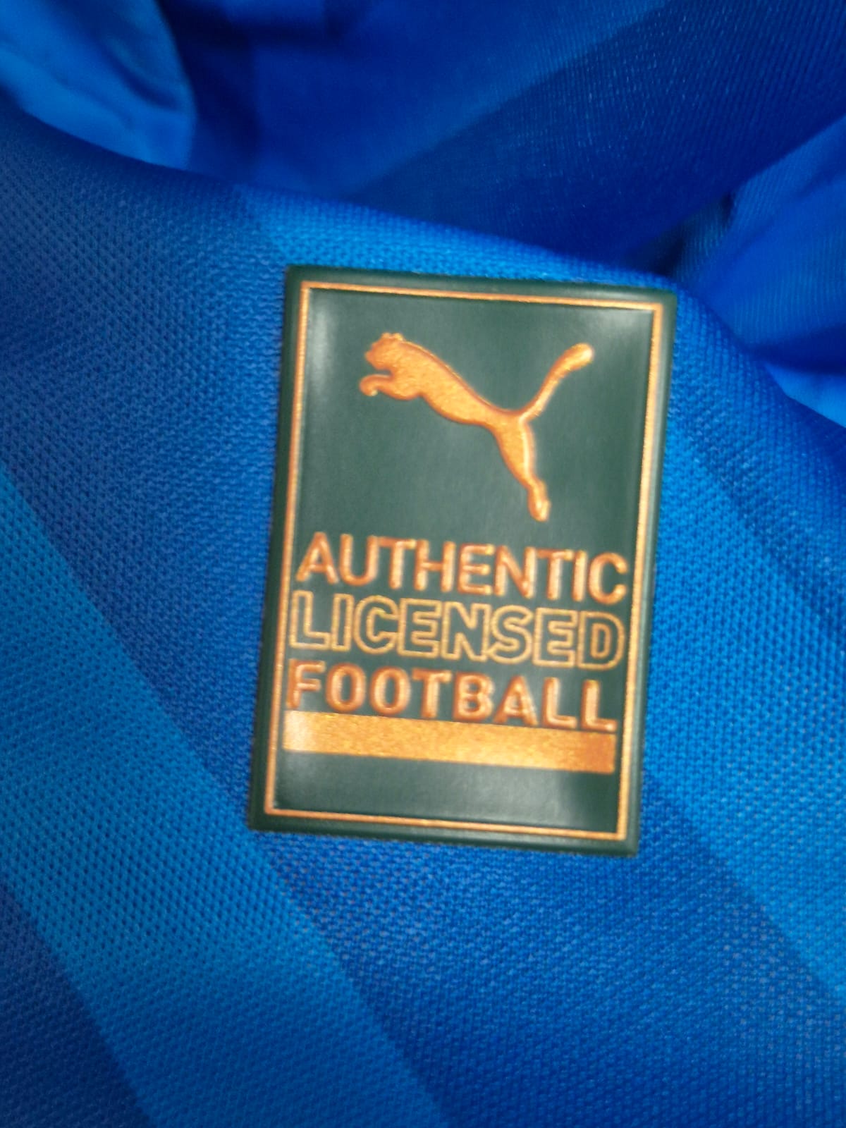 Camisa Goleiro Palmeiras modelo jogador 2024