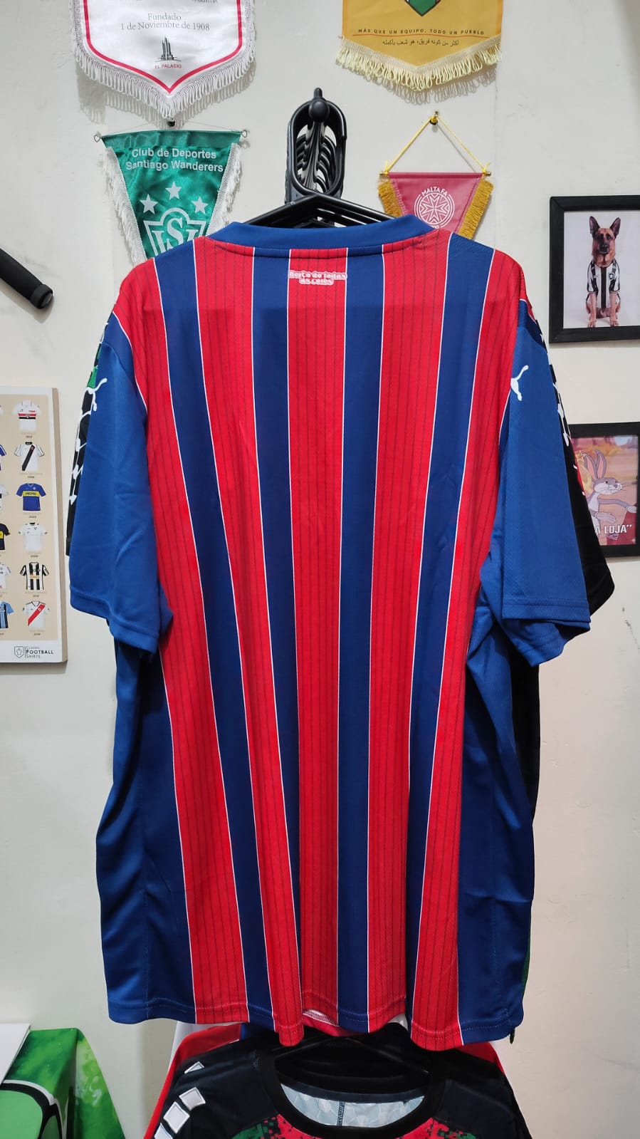 Camisa Bahia Away 2025 Puma - costas Berço de Todas as Cores