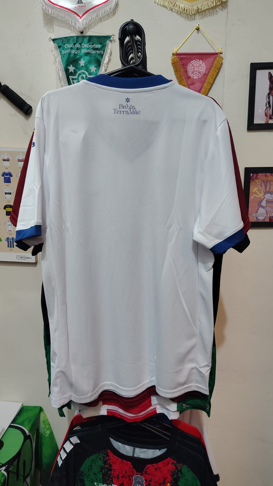 Camisa Bahia Home 2025 Puma - costas Bahia Terra Mãe