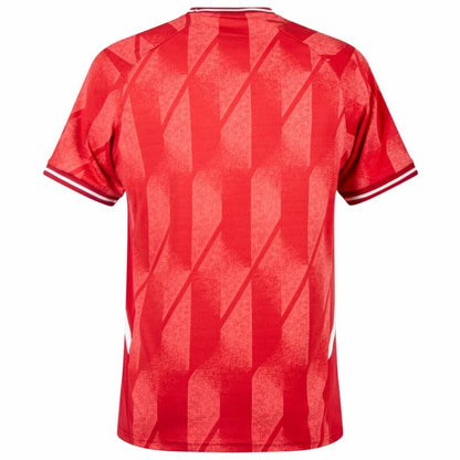 Camisa Seleção Palestina 2024 – Oficial Kelme