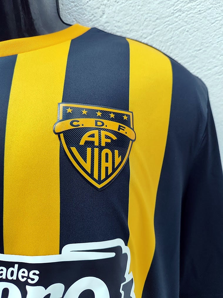 Escudo C.D.F. Arturo Fernández Vial