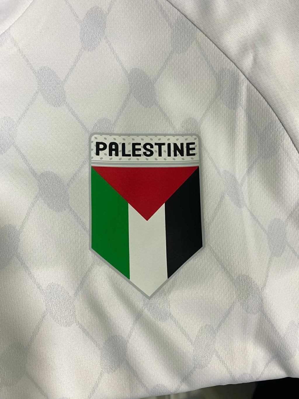 Selecao Palestina 2024 2025 Visita Kelme
