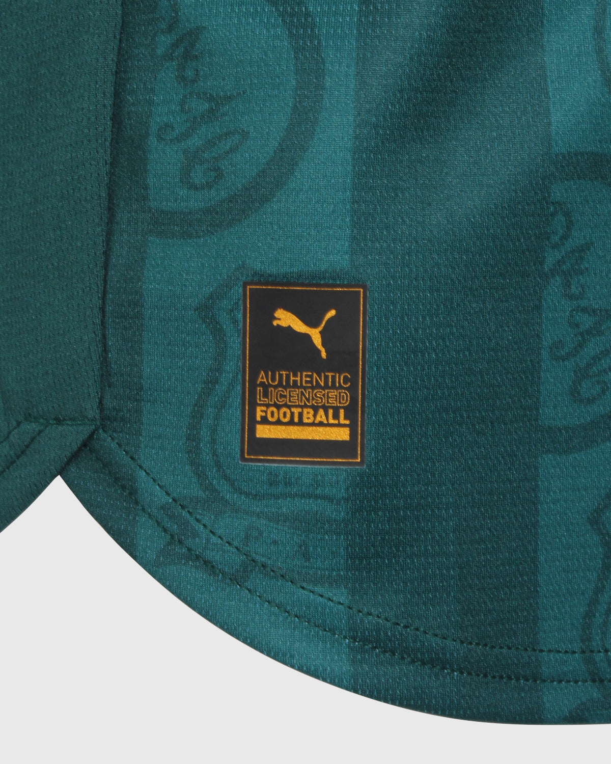 Plymouth Argyle 2025 2026 - Nova com etiqueta
