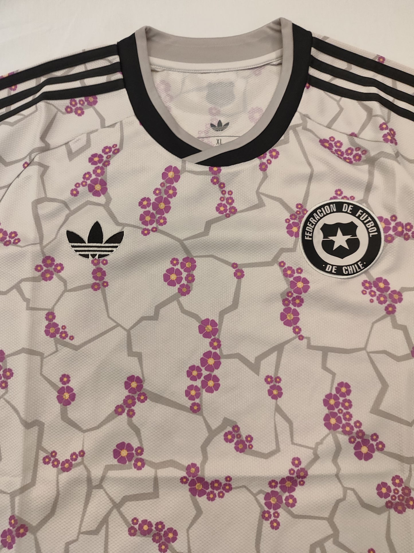Camisa Chile Deserto Florido - Modelo Torcedor