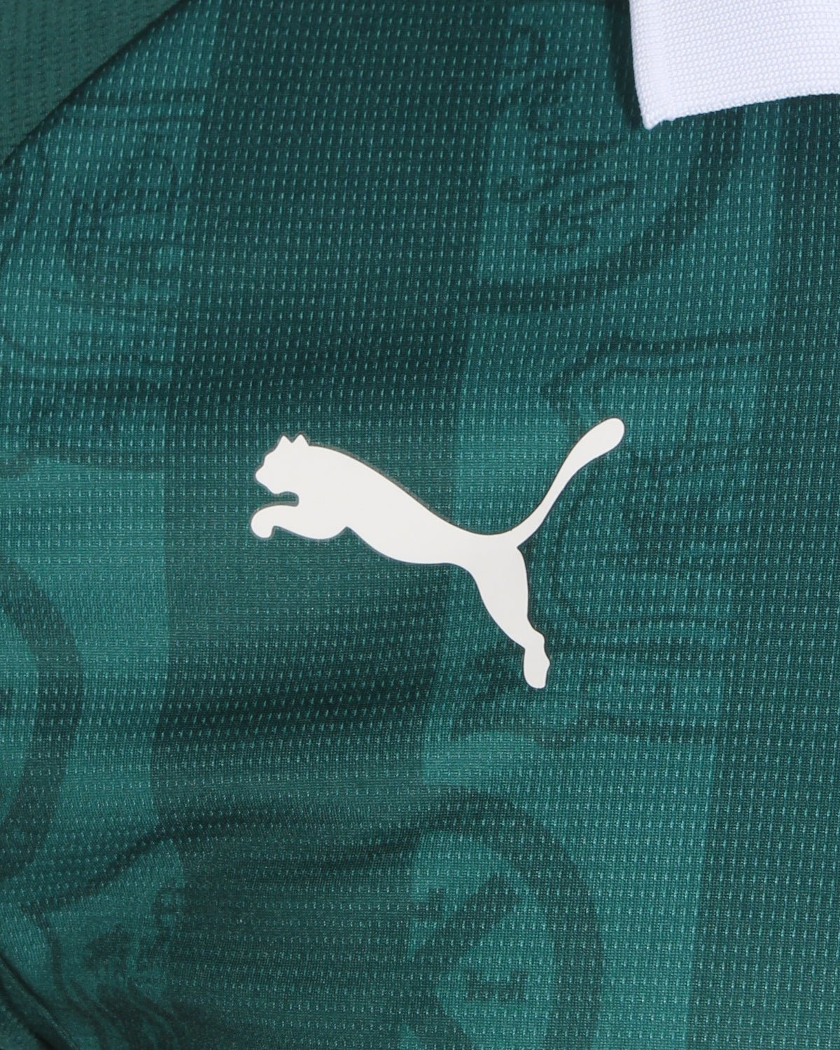 Plymouth Argyle 2025 2026 - Nova com etiqueta