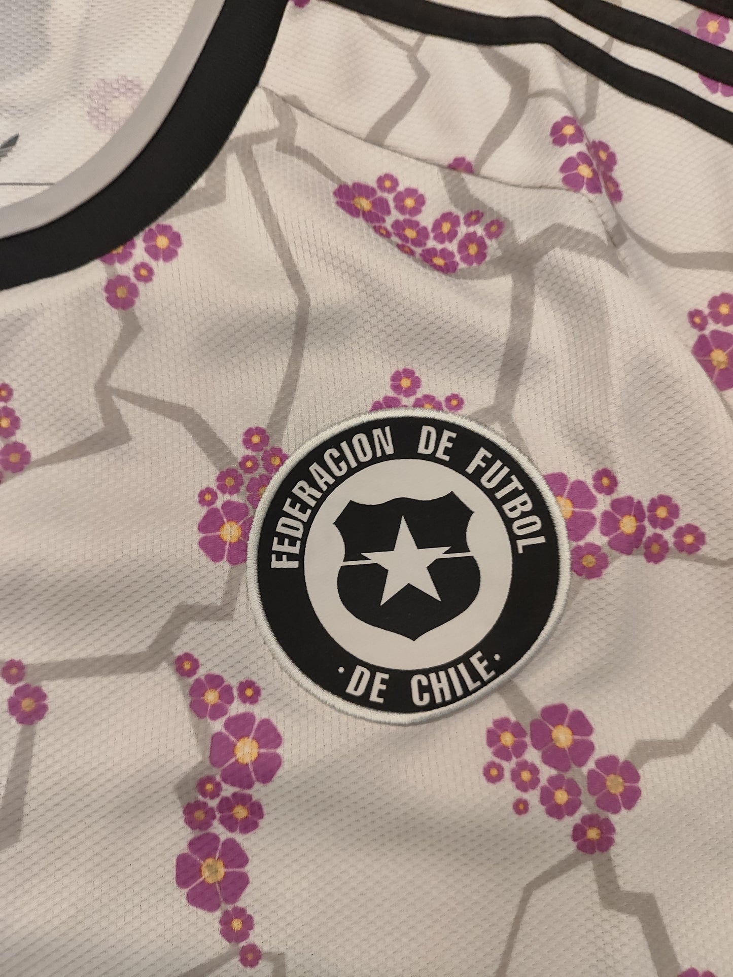 Camisa Chile Deserto Florido - Modelo Torcedor
