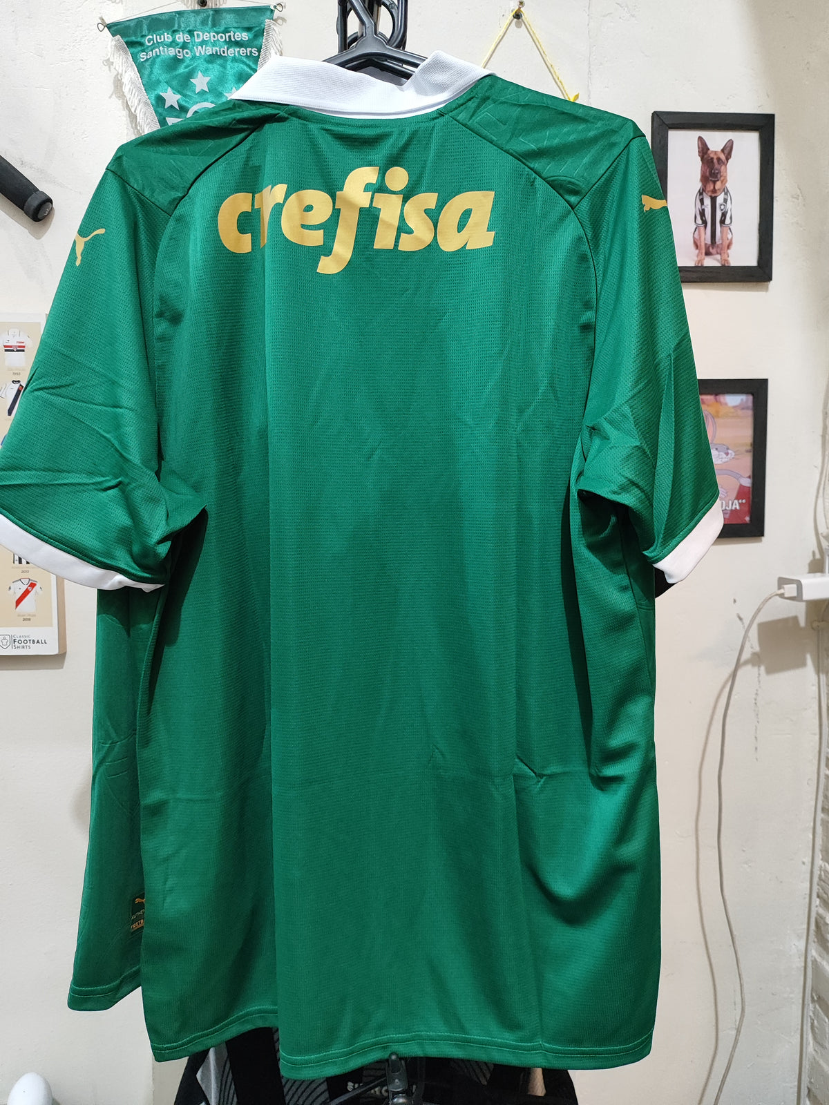 Camisa Palmeiras Torcedor 2024 Puma - 110 Anos
