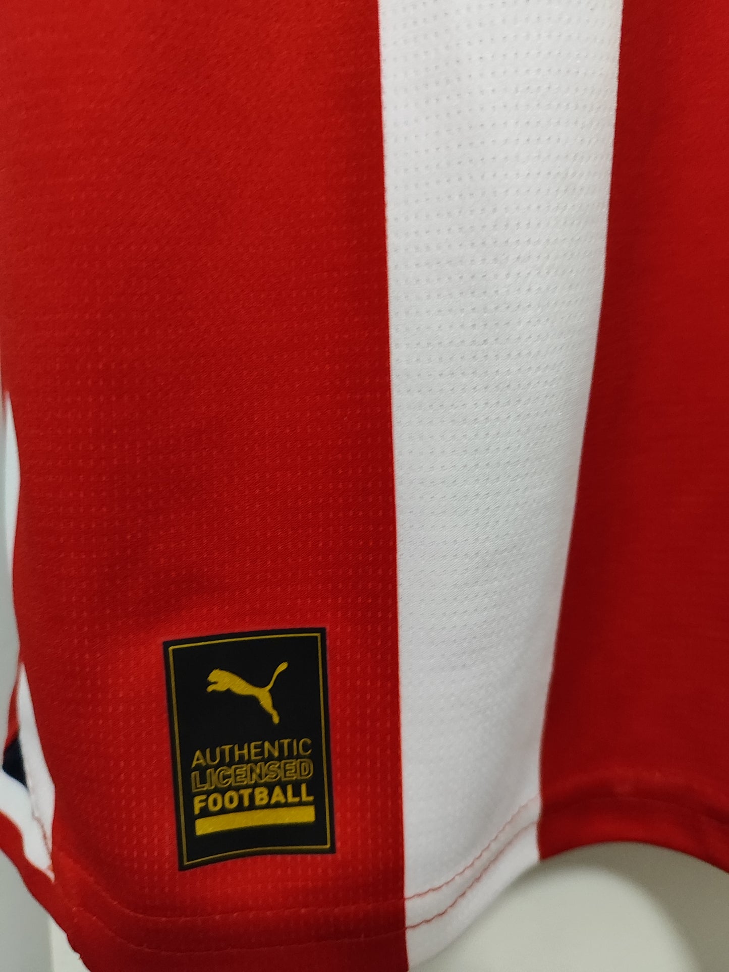 CAMISA CHIVAS GUADALAJARA 2023/2024 - VERSÃO TORCEDOR