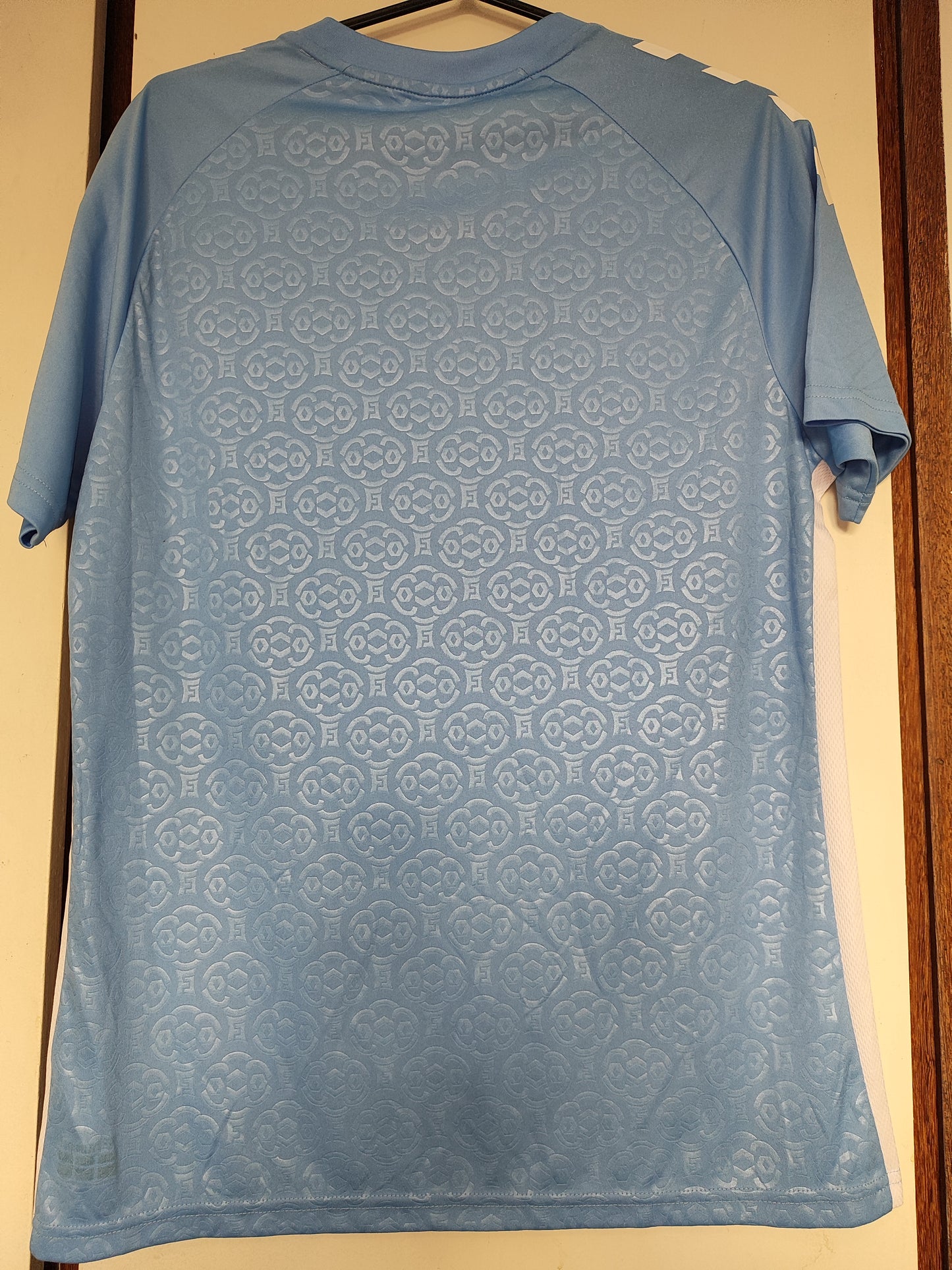 CAMISA COVENTRY CITY 2024/2025 - TITULAR (HOME)