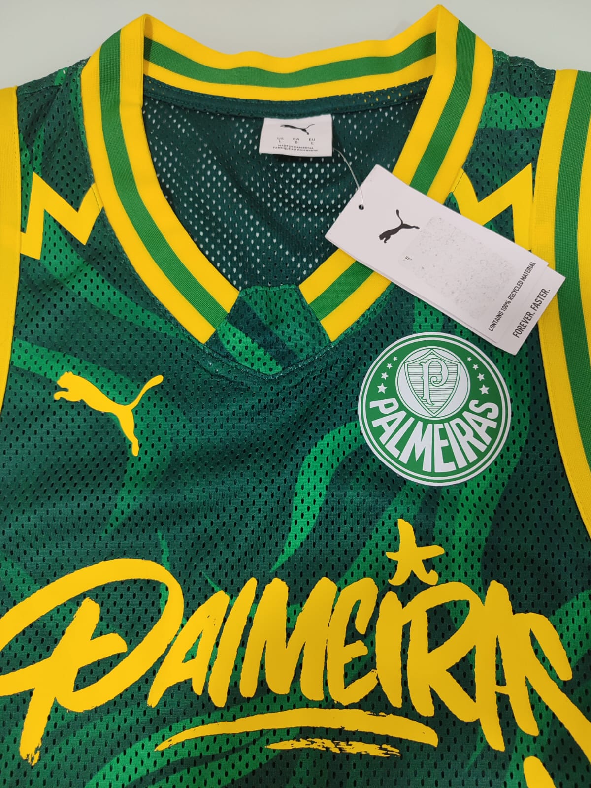 Palmeiras Hoops x Puma