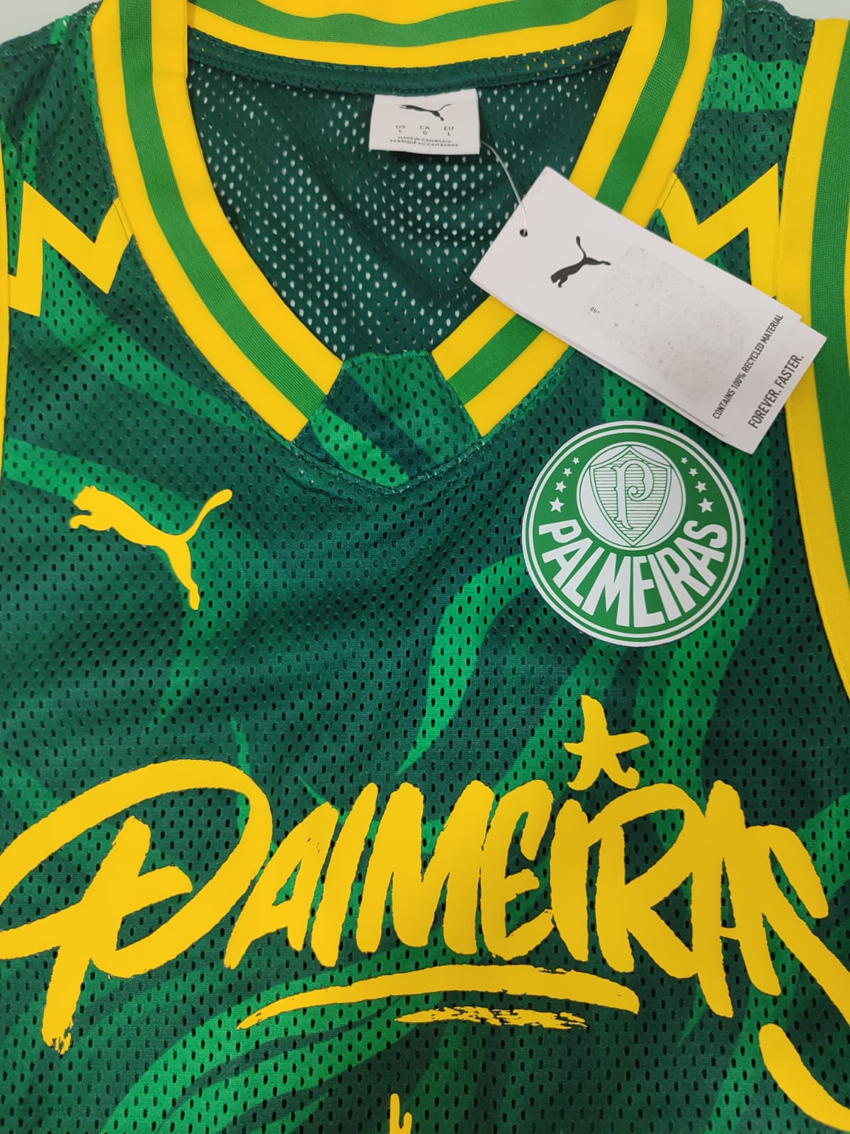 Palmeiras Hoops x Puma