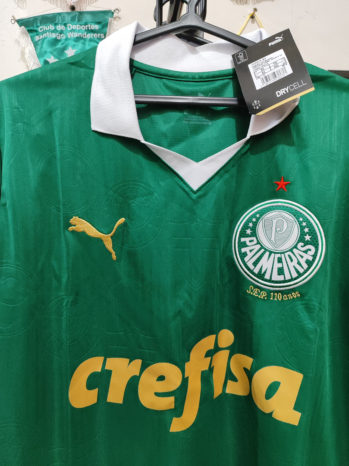 Camisa Palmeiras Torcedor 2024 Puma - 110 Anos