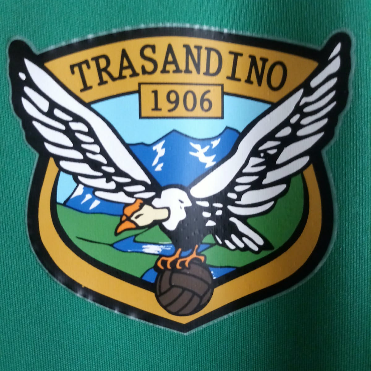 Escudo do Trasandino 1906 com o condor sobre a cordilheira dos Andes