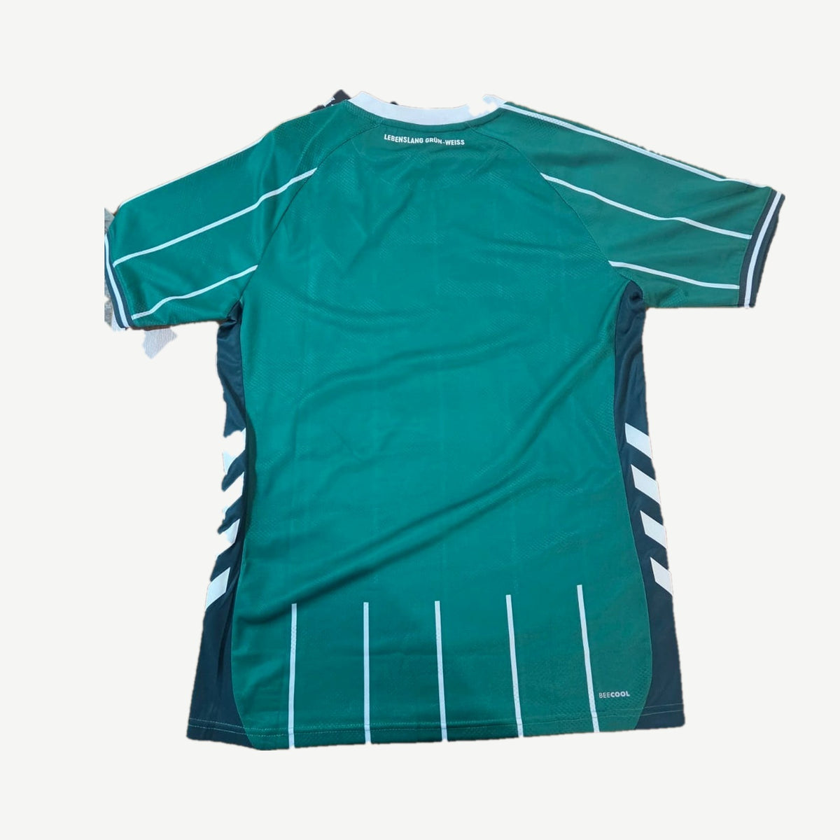 Camisa Werder Bremen Home 2023/24 – costas Lebenslang Grün-Weiss